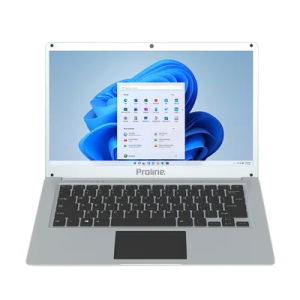 Proline V146 14" Celeron 8GB 256GB Win 11 Home Silver Notebook